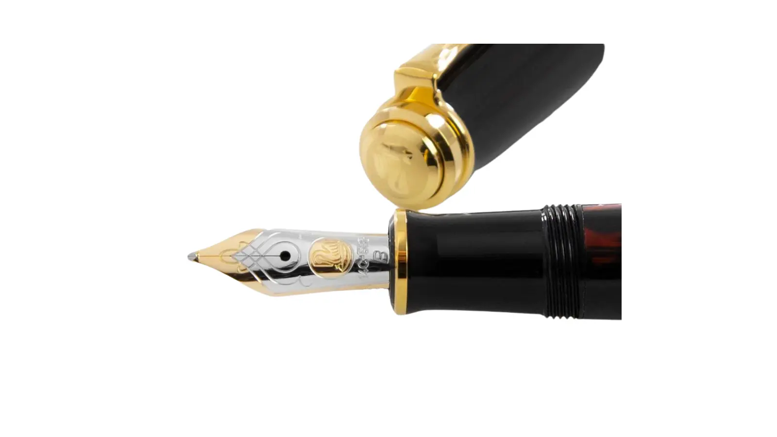 Pelikan Stilografica M600 GLAUCO CAMBON pennino by Fulker