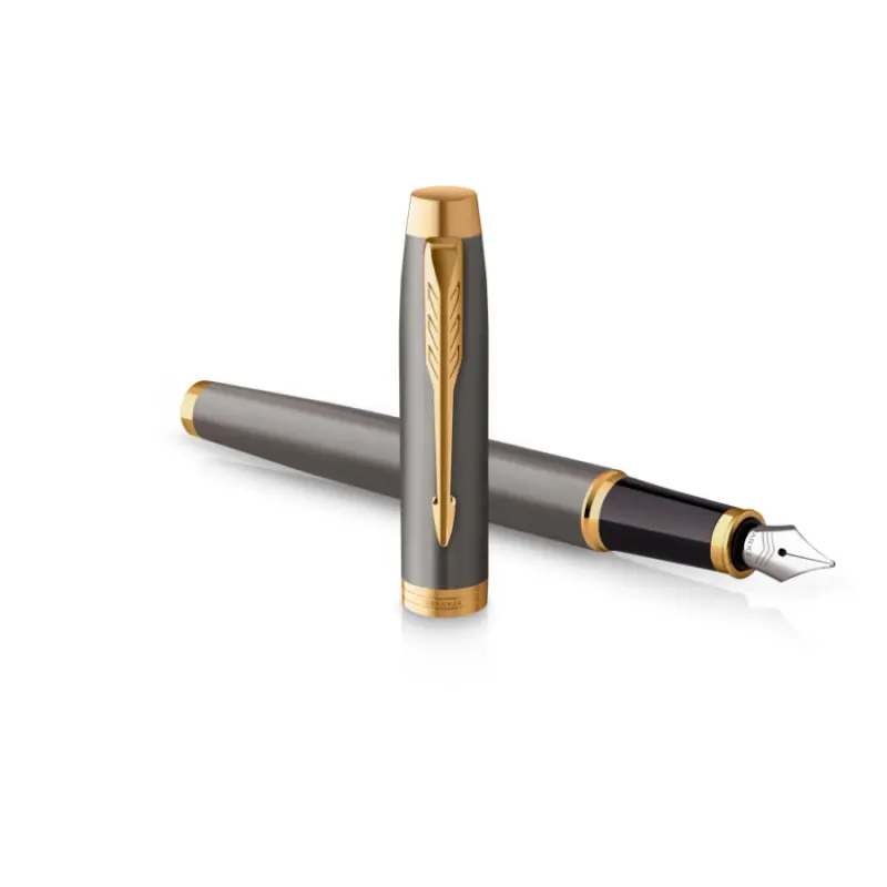 Stilografica Parker IM Grey Core GT