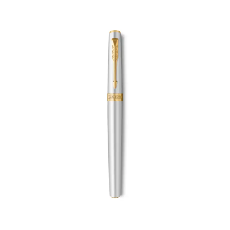 Stilografica Penna Parker Meridian Acciaio GT by Fulker